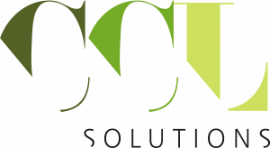 ccl-solutions logo
