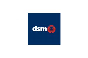 dsm-demolition logo