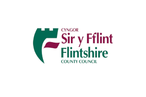 flintshire-county-council logo